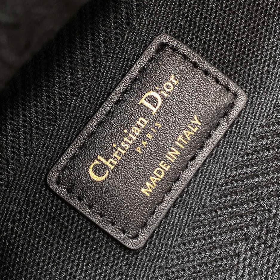 Dior Medium Lady D-Lite Bag