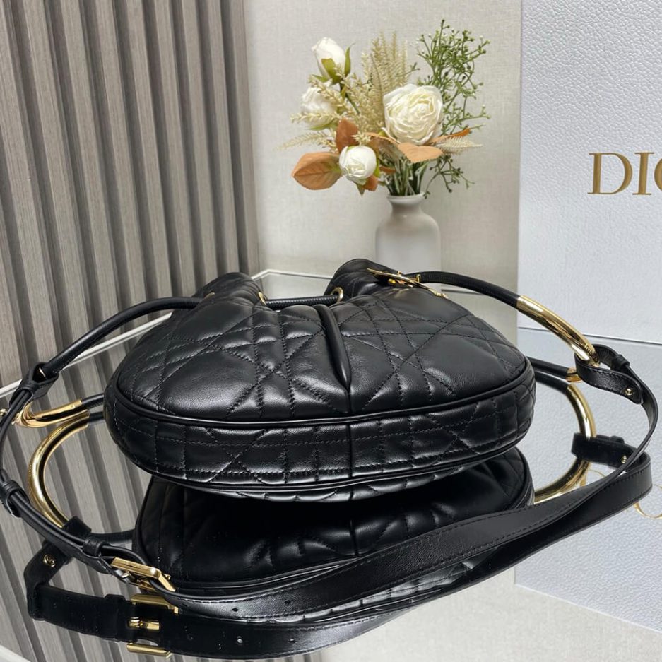 Medium Dior Nolita Bag