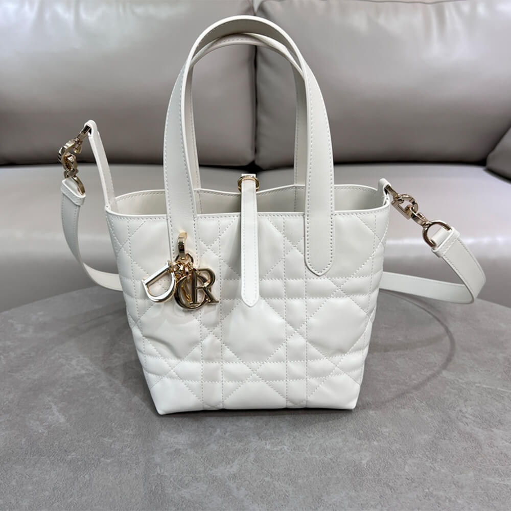 Small Dior Toujours Vertical Tote Bag