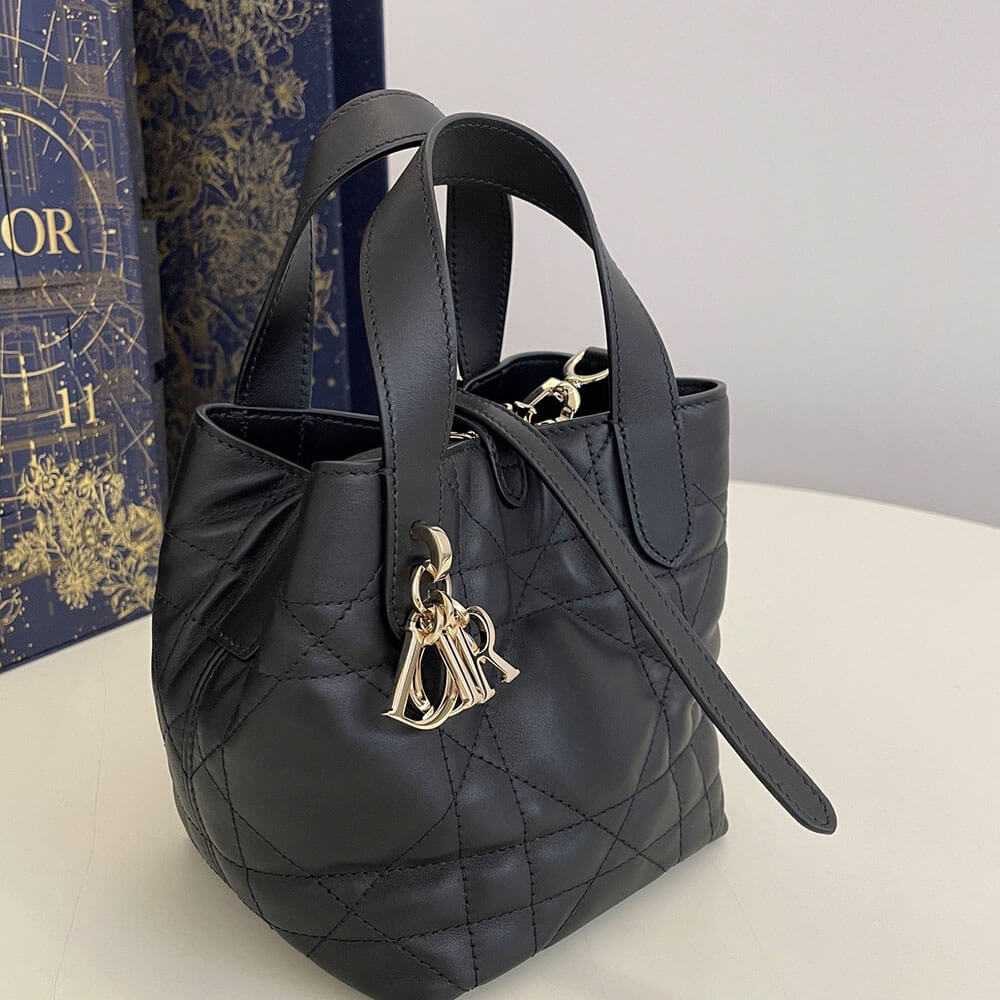 Dior Toujours Vertical Nano ToteBag(high-end grade)
