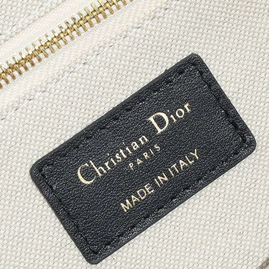 Small Dior Book Tote