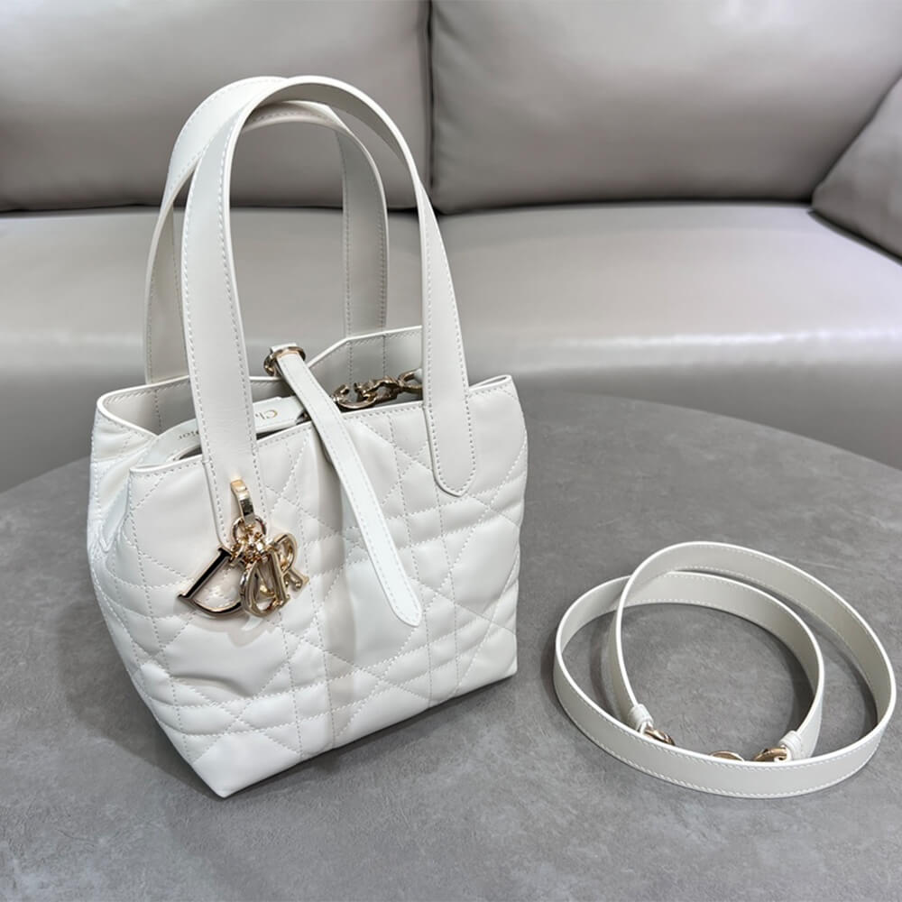 Small Dior Toujours Vertical Tote Bag