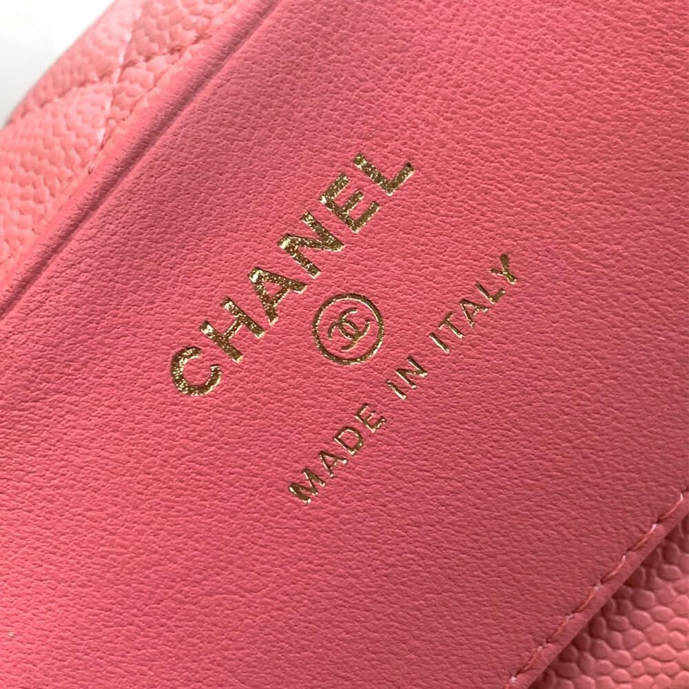 CHANEL 25C hobo bag
