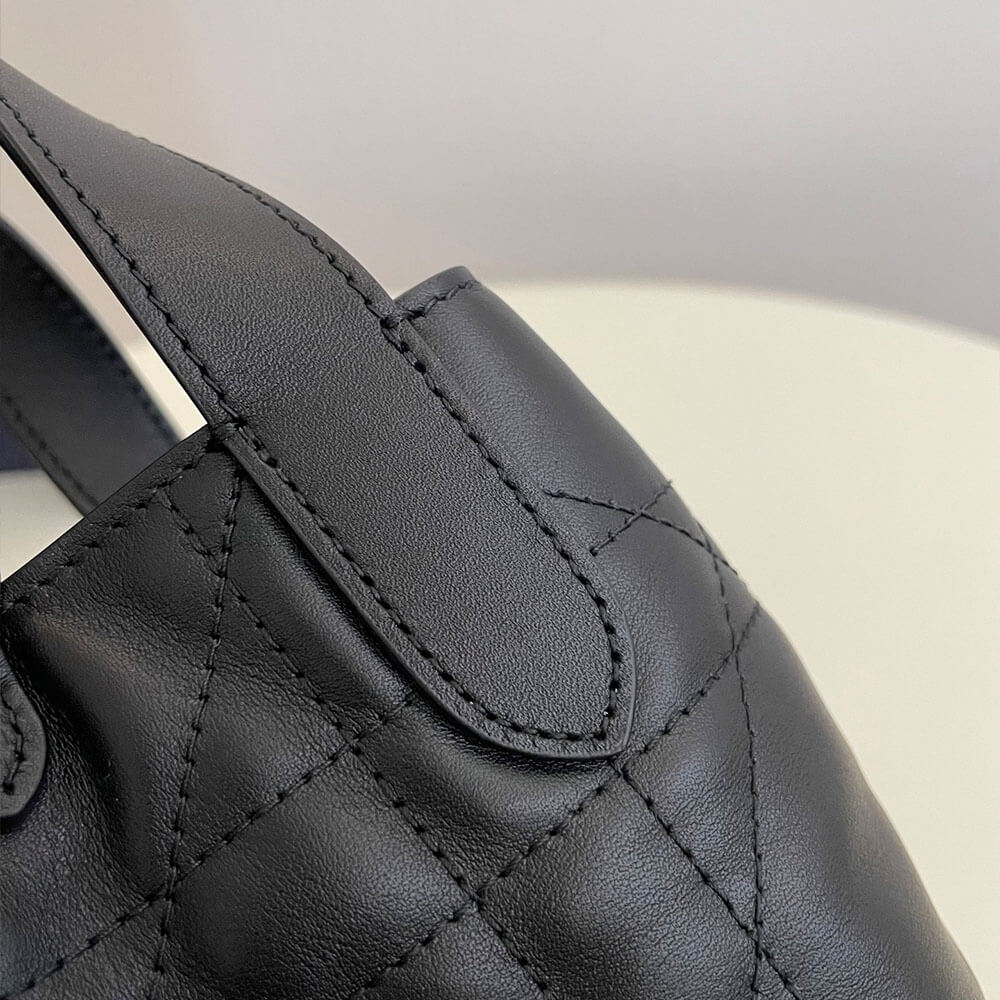 Dior Toujours Vertical Nano ToteBag(high-end grade)