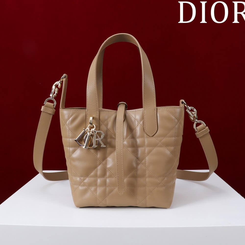 Small Dior Toujours Vertical Tote Bag(high-end grade)