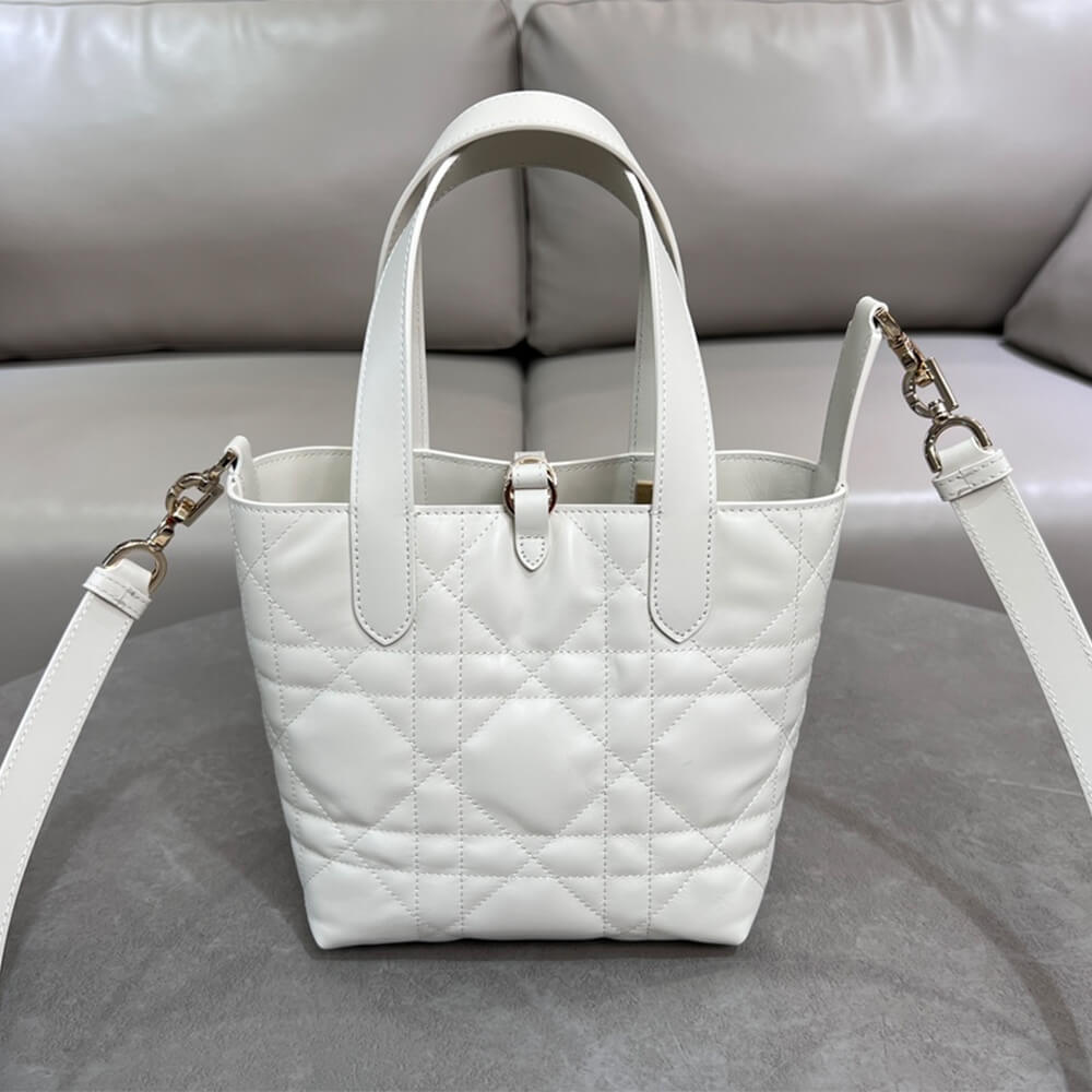 Small Dior Toujours Vertical Tote Bag