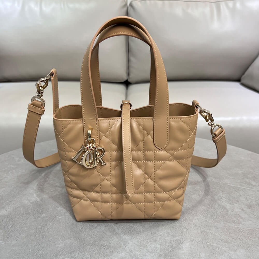 Small Dior Toujours Vertical Tote Bag