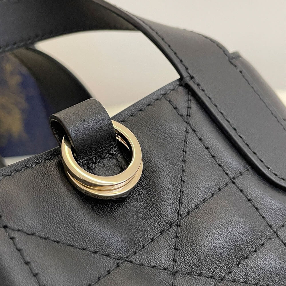 Dior Toujours Vertical Nano ToteBag(high-end grade)