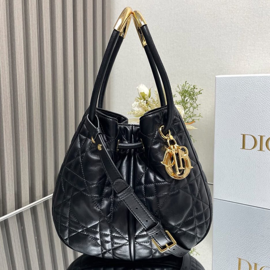 Medium Dior Nolita Bag