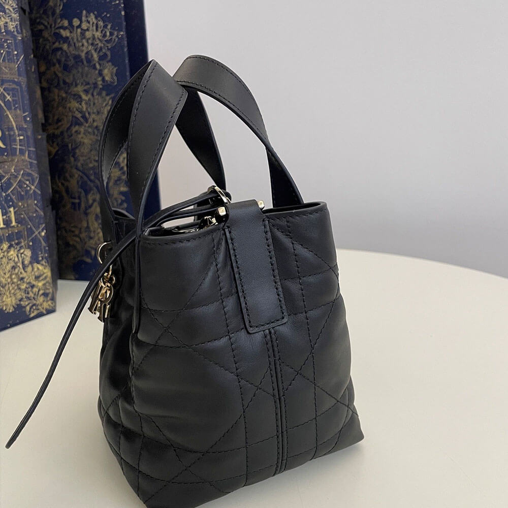 Dior Toujours Vertical Nano ToteBag(high-end grade)