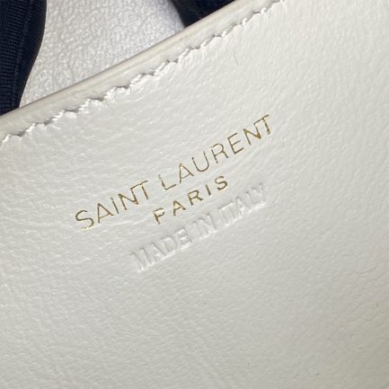 YSL GABY vanity bag in lambskin