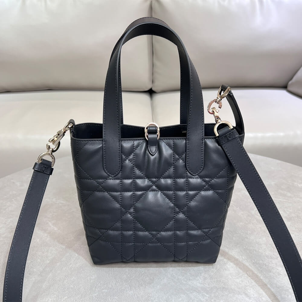 Small Dior Toujours Vertical Tote Bag