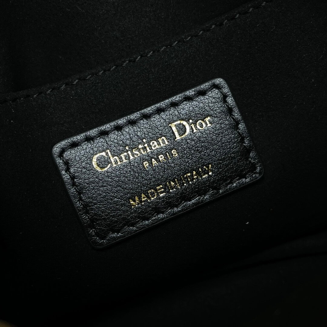 Small Dior Caro top handle camera bag
