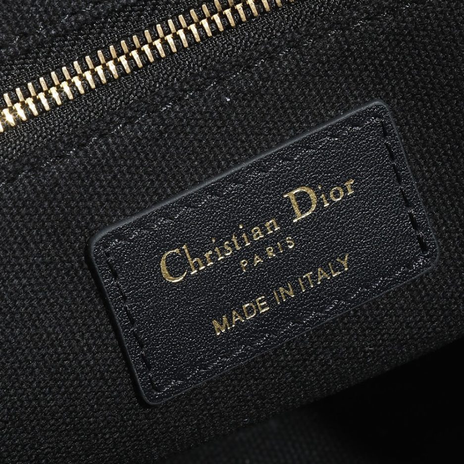 Small Dior Book Tote