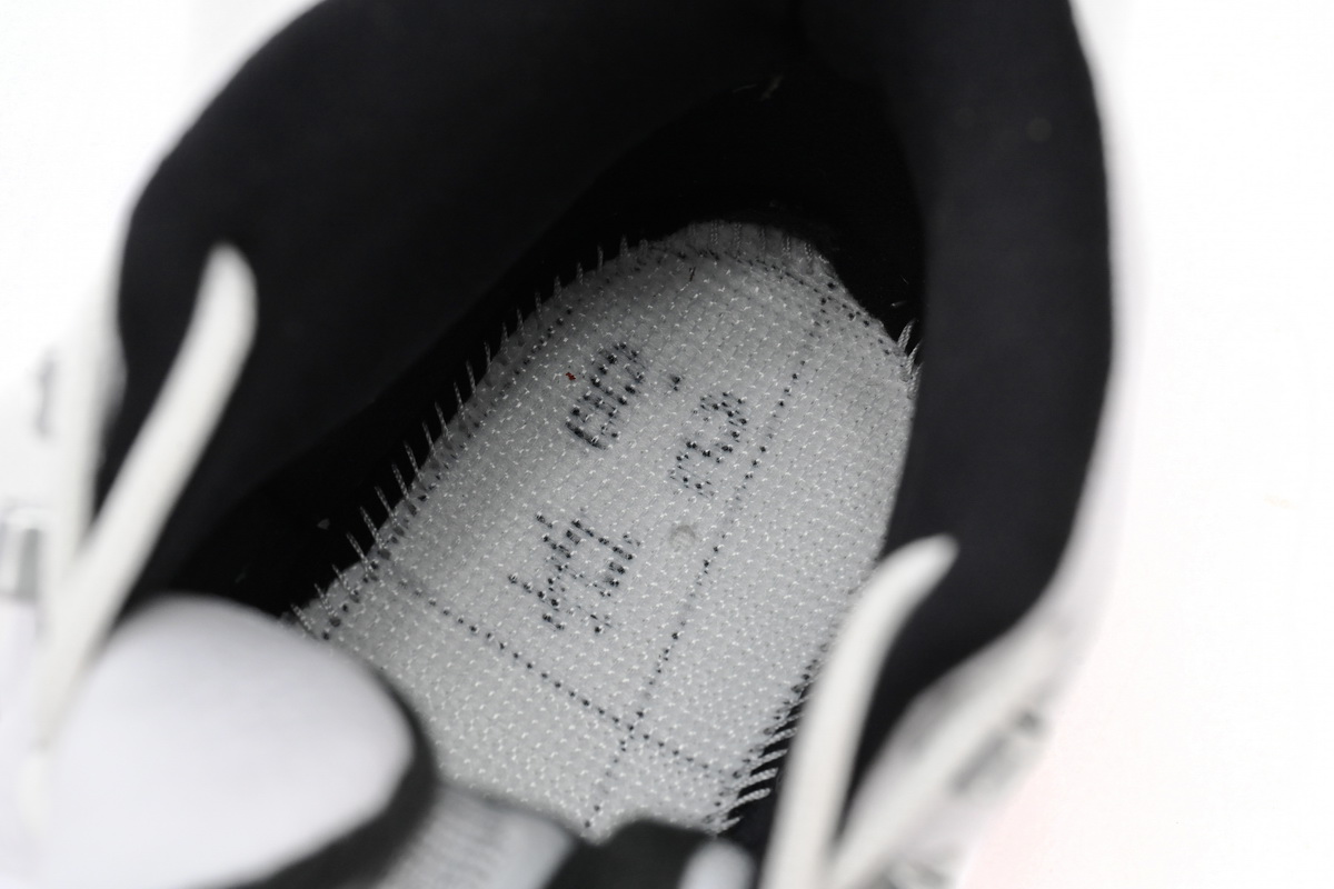 Air Jordan 12 Cherry CT8013-116