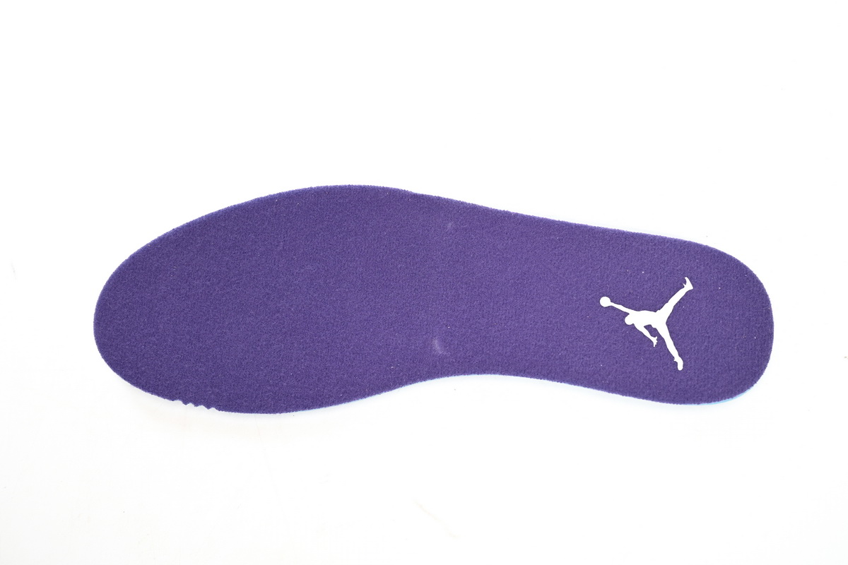 Air Jordan 12 PAICU CT8013-150