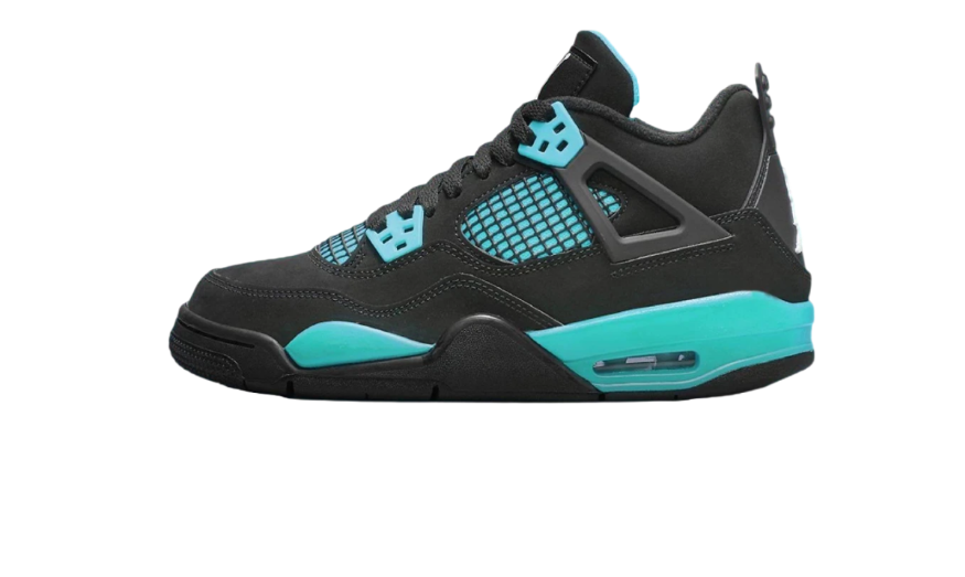 Air Jordan 4 x & CO. “ Blue”