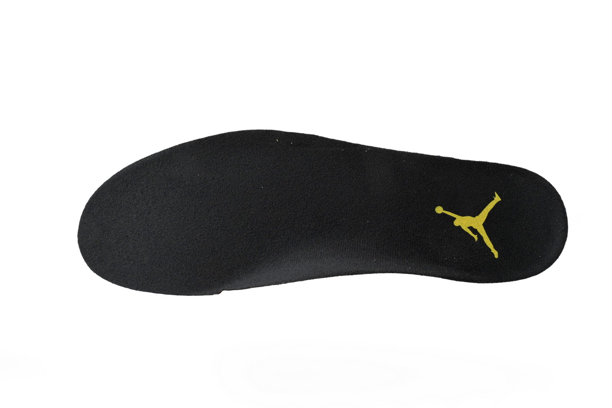 Air Jordan 12 Black Taxi CT8013-071