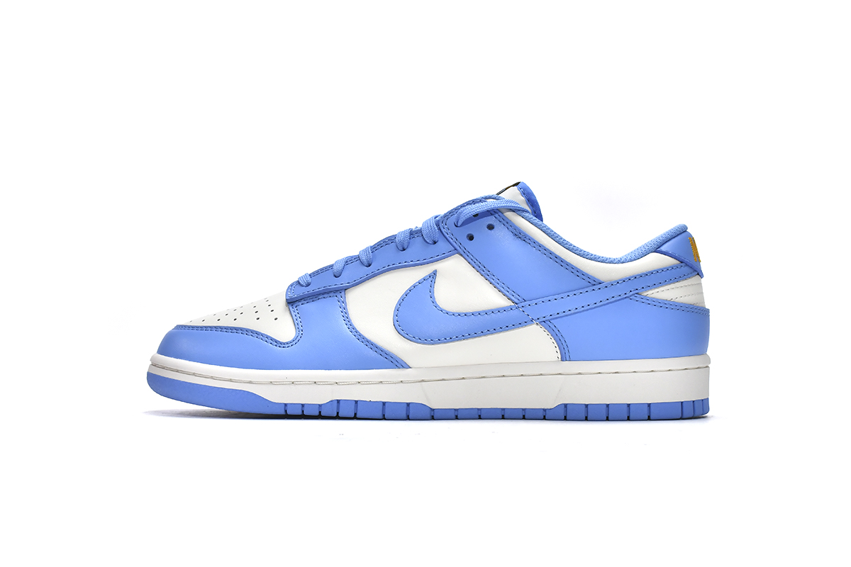 Nike Dunk Low Coast (W) DD1503-100
