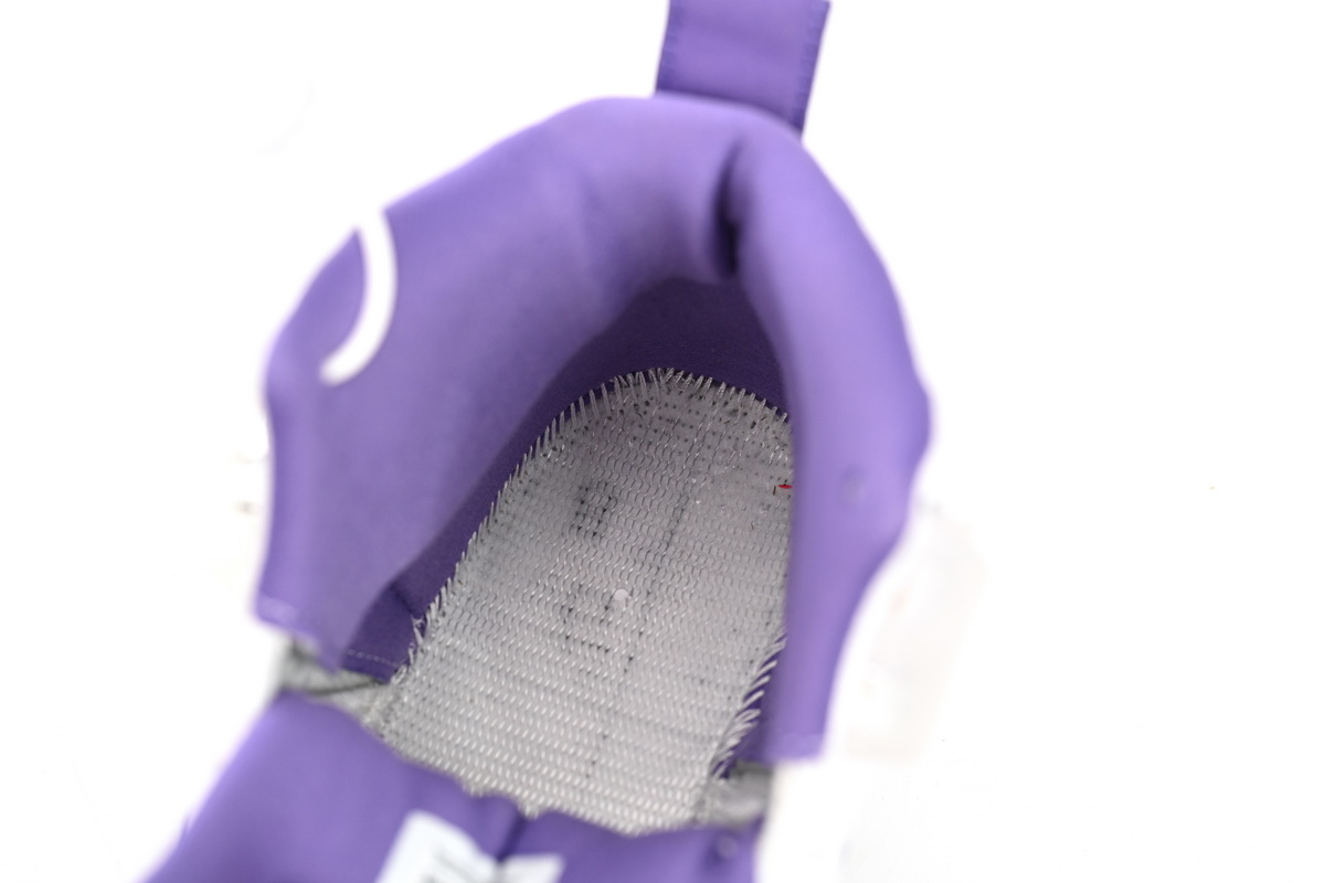 Air Jordan 12 PAICU CT8013-150