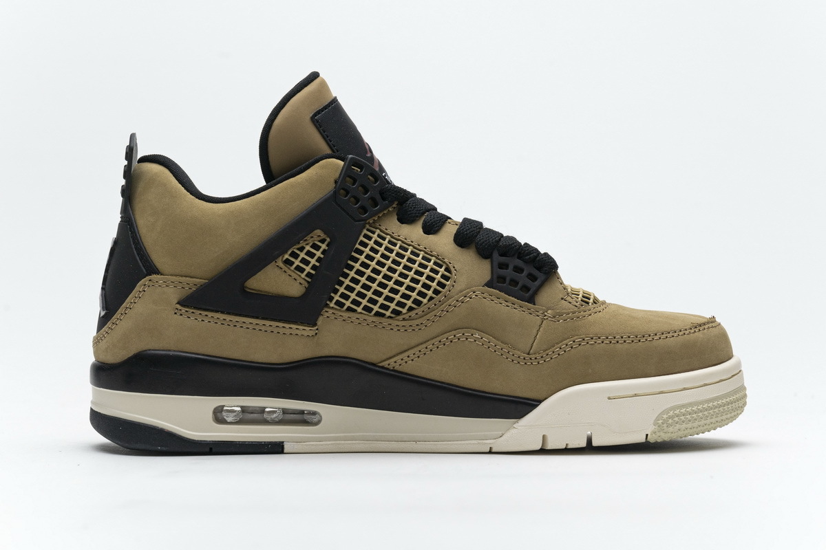 Air Jordan 4 Retro Fossil (W) AQ9129-200