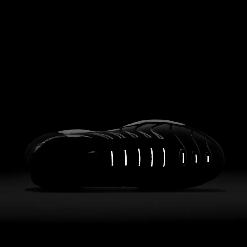 Nike Air Max Plus Black Silver White DM0032-003