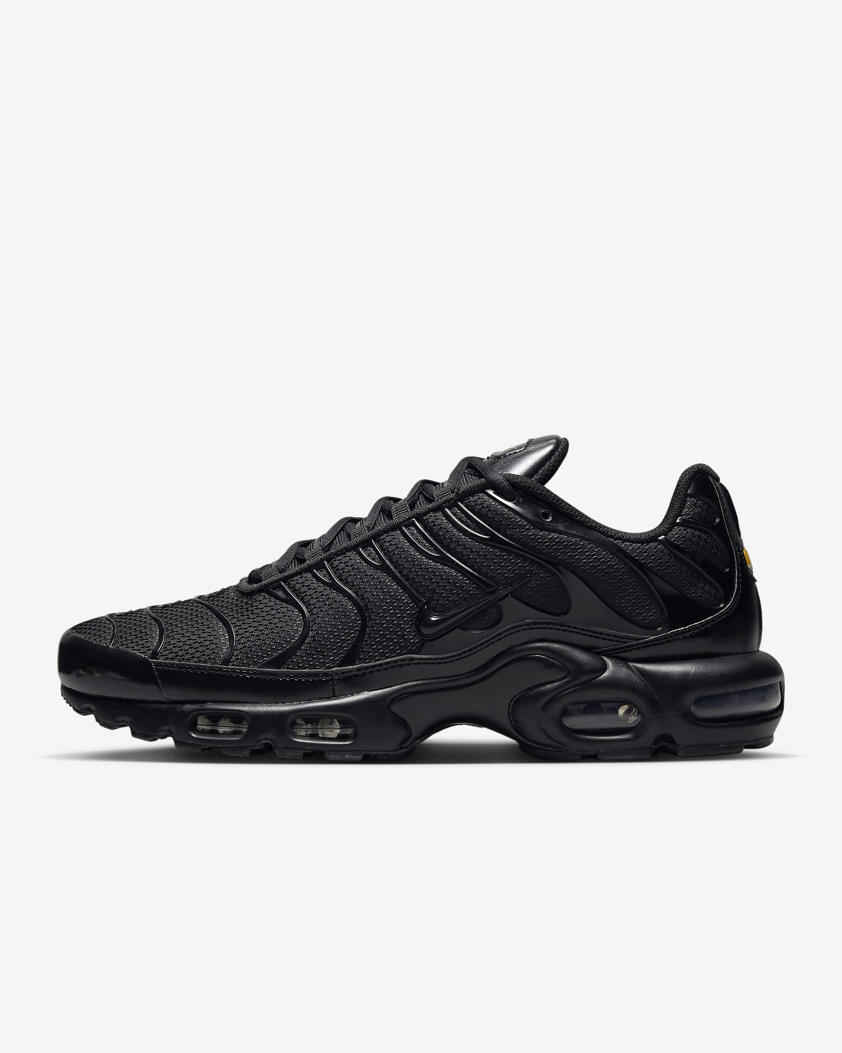 Nike Air Max Plus Triple Black FB8479-001