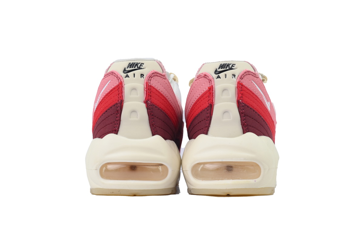 Nike Air Max 95 'Anatomy Of Air' DM0012-600