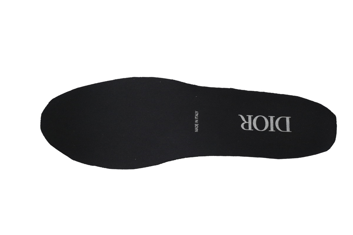 Dior Black Laser 'B22' Sneakers Cream