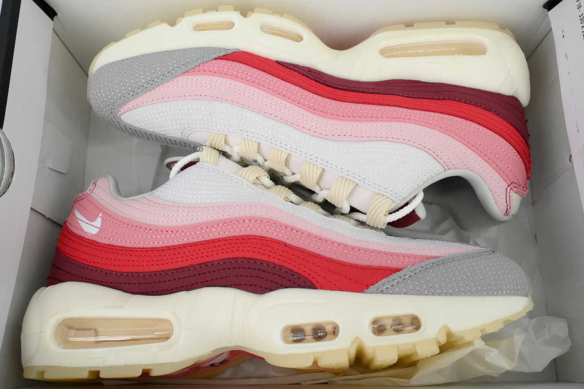 Nike Air Max 95 'Anatomy Of Air' DM0012-600