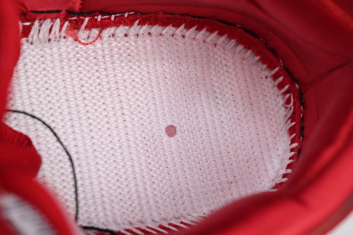 The Wizard of Oz x Dunk Low SB 'Poppy Field' FZ1291-600