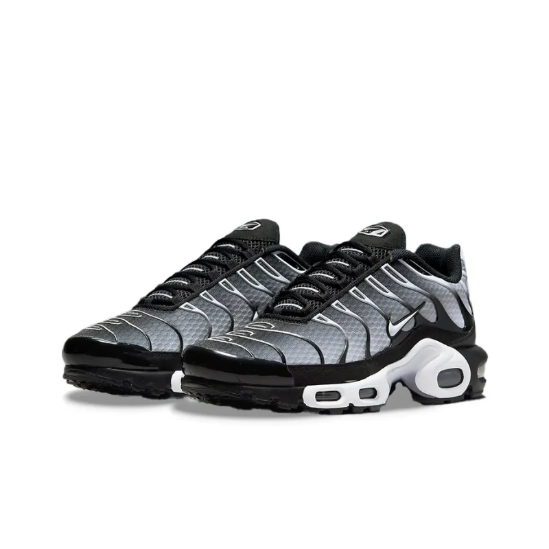 Nike Air Max Plus Black Silver White DM0032-003