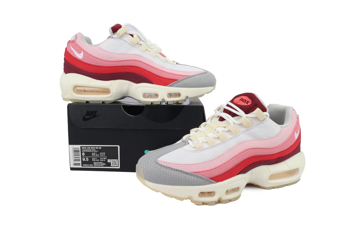 Nike Air Max 95 'Anatomy Of Air' DM0012-600