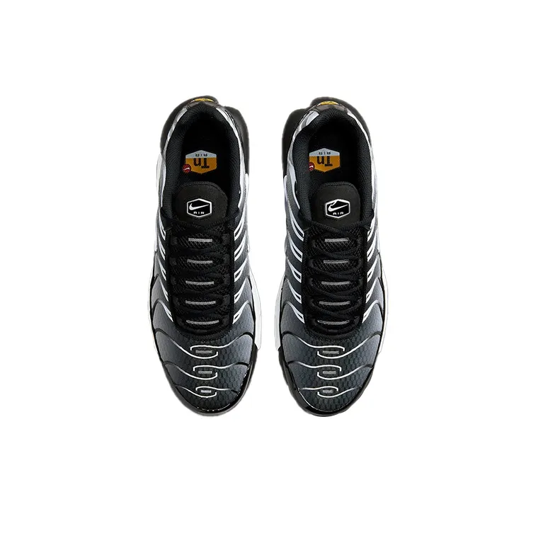 Nike Air Max Plus Black Silver White DM0032-003