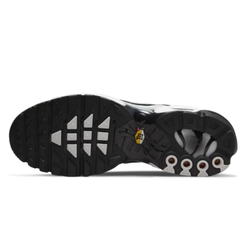 Nike Air Max Plus Black Silver White DM0032-003