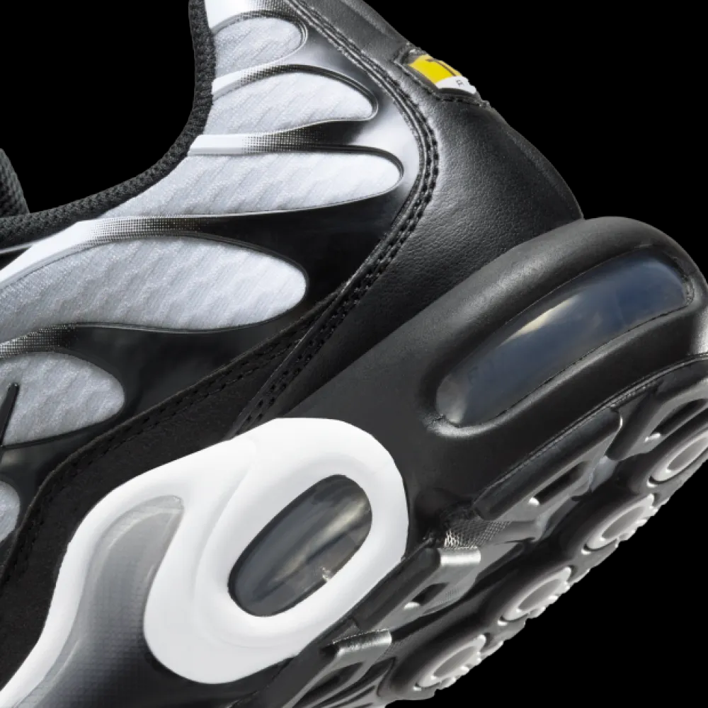 Nike Air Max Plus Black Silver White DM0032-003