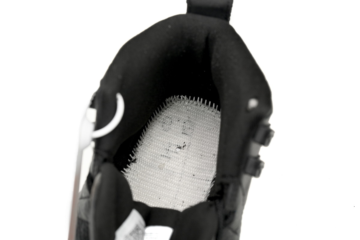 Air Jordan 12 Grey Wolf CT8013-019