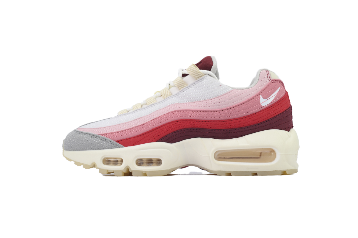 Nike Air Max 95 'Anatomy Of Air' DM0012-600