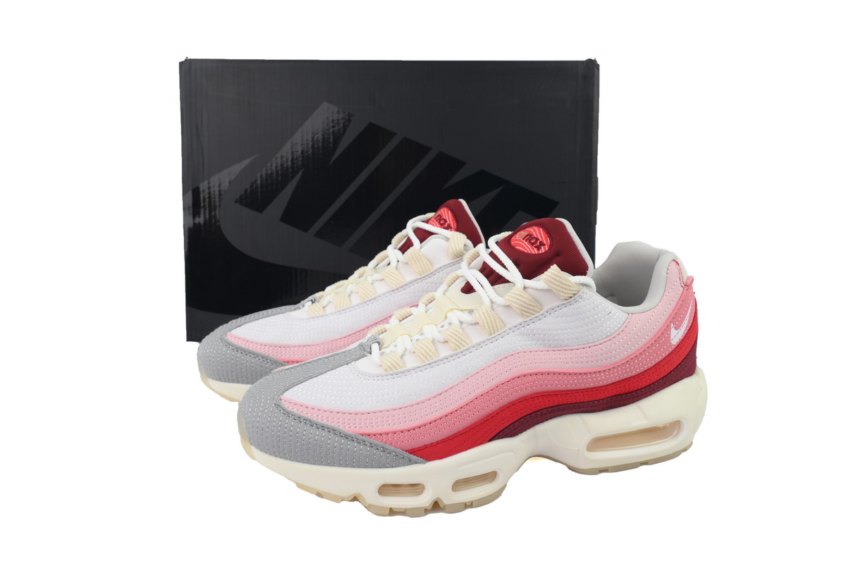 Nike Air Max 95 'Anatomy Of Air' DM0012-600