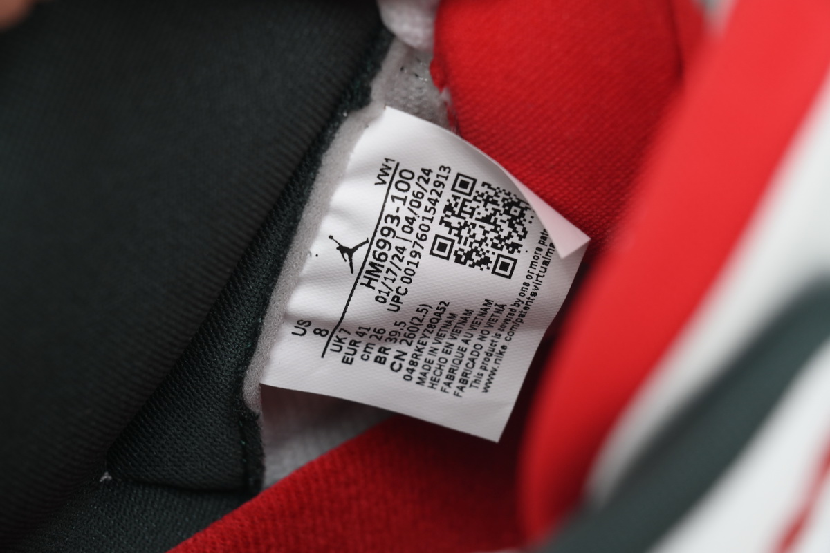 Air Jordan 3 Retro Wings HM6993-100