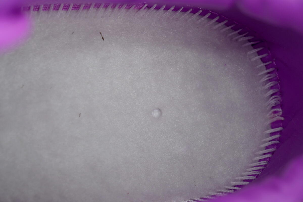 Cactus Plant Flea Market x Air Force 1 Low Premium 'Fuchsia Dream' FQ7069-500