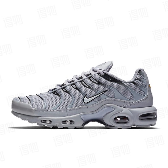 Air Max Plus TN 'Wolf Grey' 852630-021