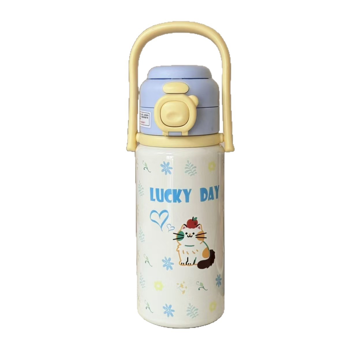 Cartoon Insulated Water Bottle