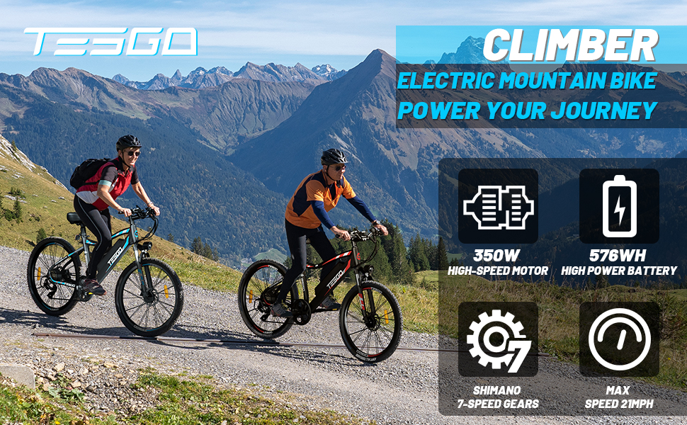 electric bikes for adults
