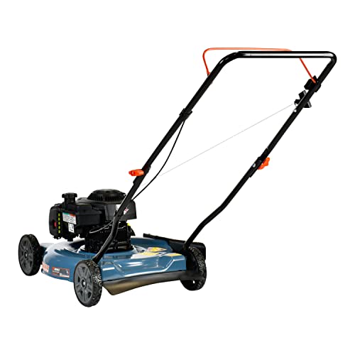 2026 SalesGas Lawn Mower, 20-Inch, 125 cc 4-Cycle Briggs & Stratton Engine, Push Lawnmower