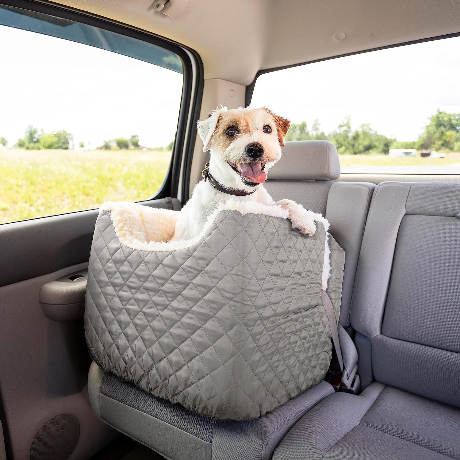 2026 SalesDog Car Seat: Lookout I Dog Booster Car Seat for Dogs Small 5-15 lbs, Size: Small, Fabric: Black Diamond, Pet Car Seat to Alleviate Car Sickness for Dogs, Removable Machine Washable Cover