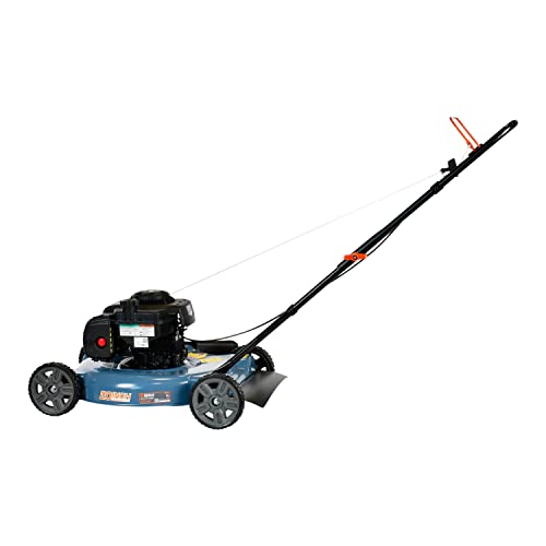 2026 SalesGas Lawn Mower, 20-Inch, 125 cc 4-Cycle Briggs & Stratton Engine, Push Lawnmower