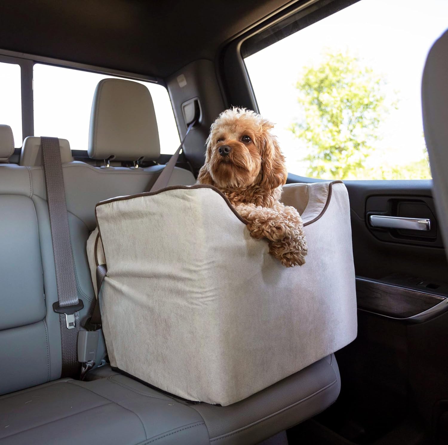 2026 SalesDog Car Seat: Lookout I Dog Booster Car Seat for Dogs Small 5-15 lbs, Size: Small, Fabric: Black Diamond, Pet Car Seat to Alleviate Car Sickness for Dogs, Removable Machine Washable Cover