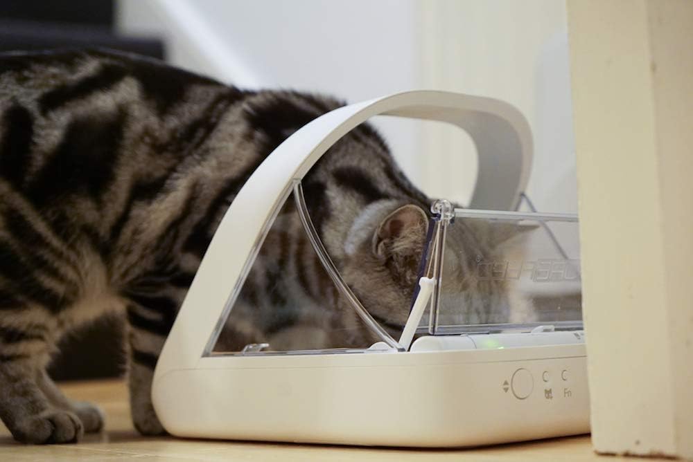 2026 SalesPet Feeder Connection System - Selective Pet Feeder - Suitable for pets on prescription diets or weight management diets - Integrated Scale - Data can be sent to smartphone